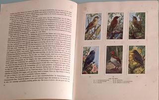 Álbumes de cromos holandeses antiguos 