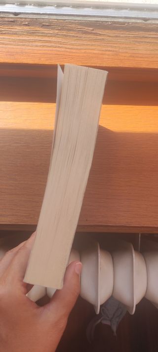 Sangre derramada de Asa Larsson