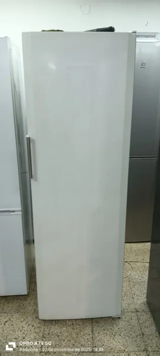 Nevera Liebherr 1 Puerta