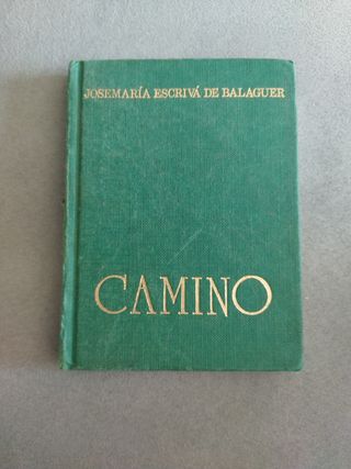 Camino (Spanish Edition)
