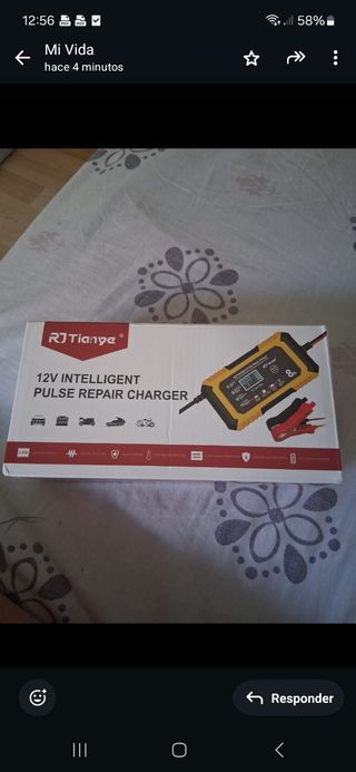 Cargador Pulso 12V Inteligente