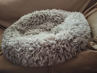 Cama para mascota gris
Es para tamaño medio