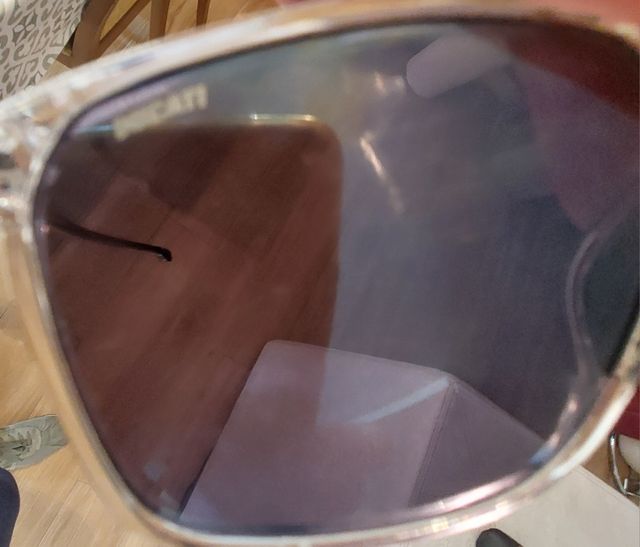 Gafas Carrera Ducati - Gris Plata.