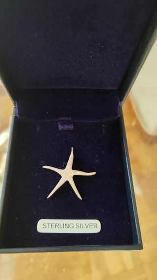 Colgante Estrella de Mar Plata