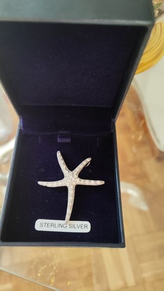 Colgante Estrella de Mar Plata 925 Grande
