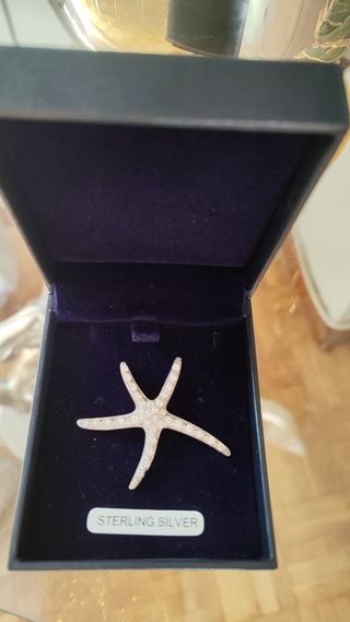 Colgante Estrella de Mar Plata 925 Grande