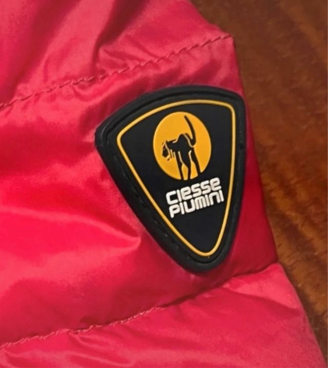 Piumino Ciesse Piumini rosa donna