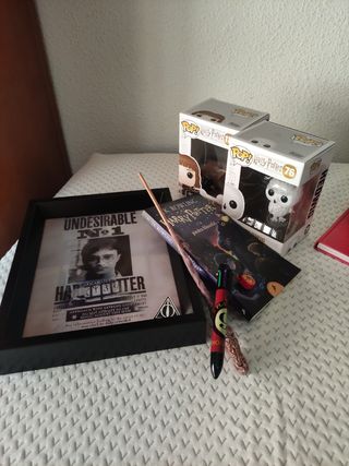 Pack Harry Potter: Funko, Cuadro, 1 libro...