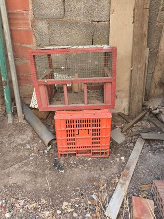 Cajón suelto para palomas