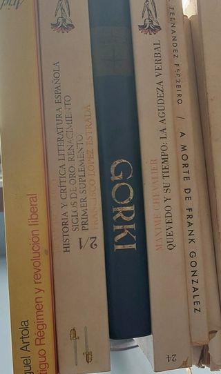 Libros 10 euros cada uno