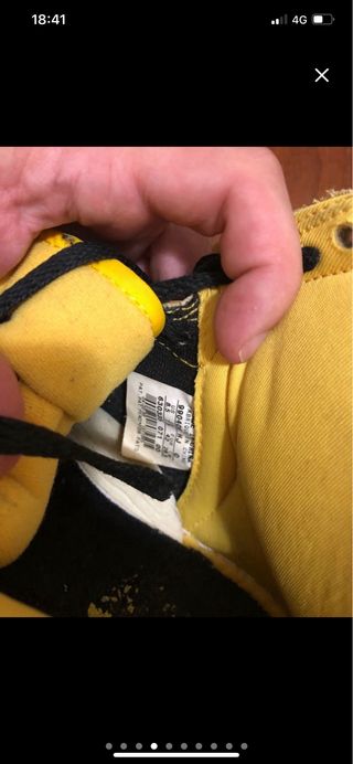 Nike Dunk Goldenrod 1999