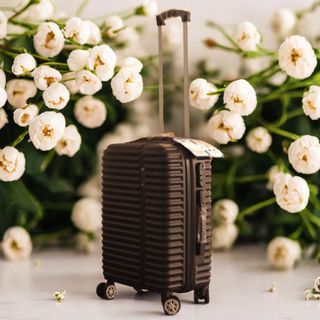 Maleta cabina 10kg - Nueva