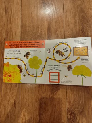 Follow the trail minibeasts 