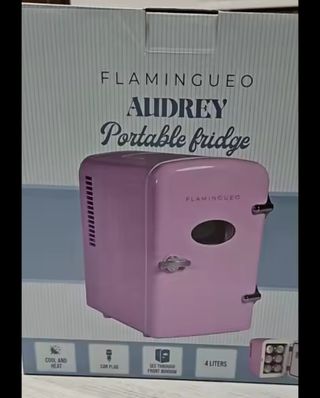 Mini nevera Flamingueo Audrey 4L