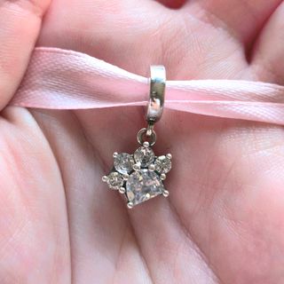 CHARM HUELLA MASCOTA PERRITO BRILLANTES