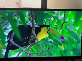 TV OK 32" Negra