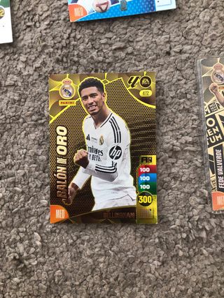 Cromos Adrenalyn XL 24-25