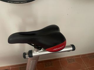 Bicicleta Spinning LifeCycle GX