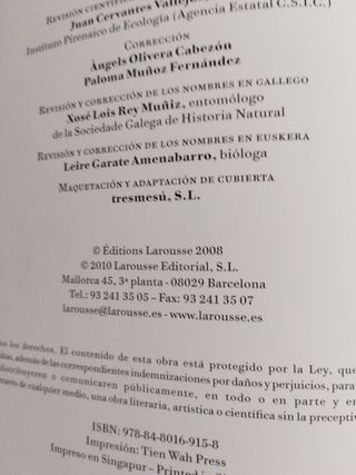 Pequena coleccion de insectos / Small Collectio...