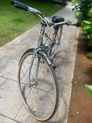 Bicicleta Gacela BH Vintage