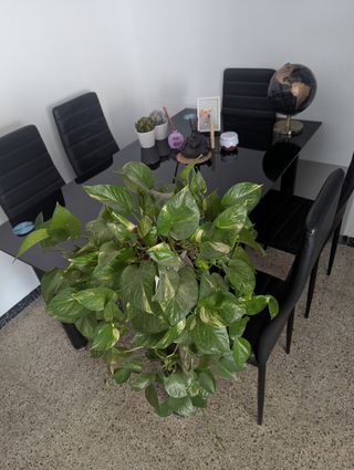 Mesa cristal negra más seis sillas