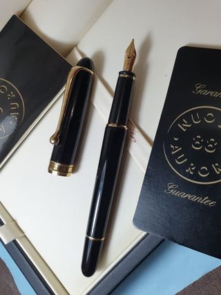 Penna Stilografica Aurora 88