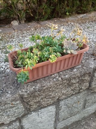 Jardinera marrón 50cm - Plástico