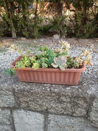 Jardinera marrón 50cm - Plástico