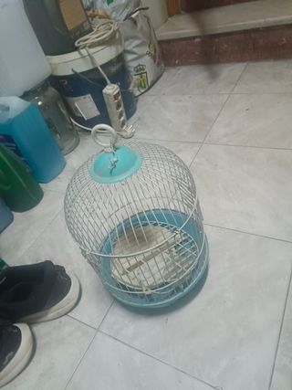 Jaula pájaros azul y gris