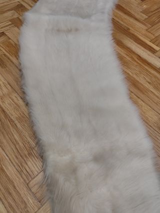 Cuello de pelo blanco