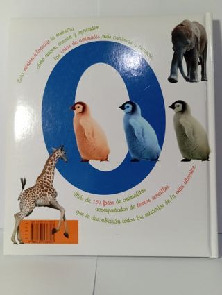 Pack de libros infantiles (juegos + animales)