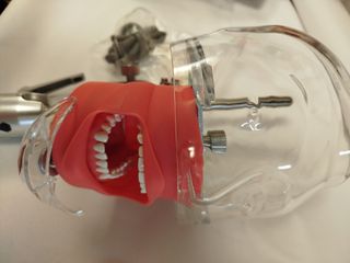 Cabeza Simulación Dental Nuevo