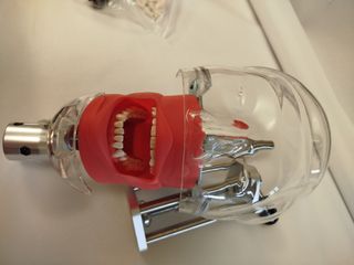 Cabeza Simulación Dental Nuevo