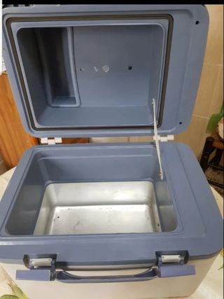Nevera Portátil Coche
