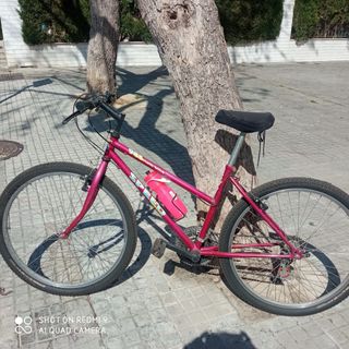 Bicicleta montaña Speed