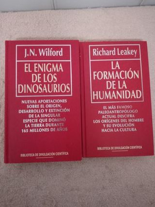 LOTE (IV) DE 9 LIBROS Y NOVELAS.