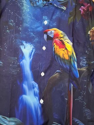 Camisa hawaiana XXXL - Cascada tropical