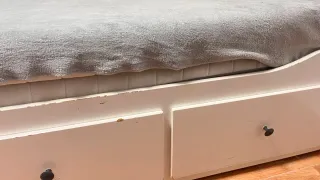 Diván blanco cama individual