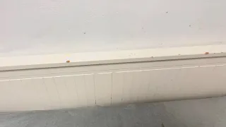 Diván blanco cama individual