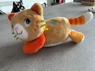 Gatto Clementoni coccole