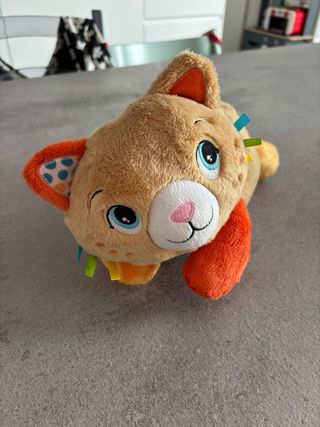 Gatto Clementoni coccole