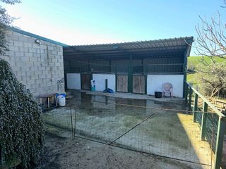Terreno en venta en Morón de la Frontera