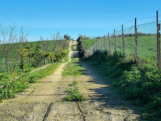 Terreno en venta en Morón de la Frontera