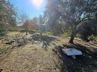 Terreno en venta en Morón de la Frontera