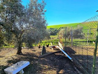 Terreno en venta en Morón de la Frontera