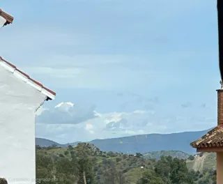 Habitación individual - alquiler.