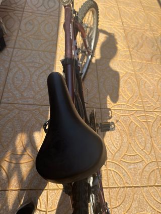 Bicicleta Montaña Tagga