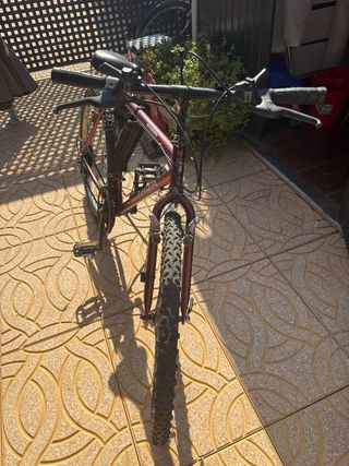 Bicicleta Montaña Tagga