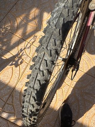 Bicicleta Montaña Tagga