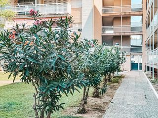 Piso en venta en Eixample en Salou